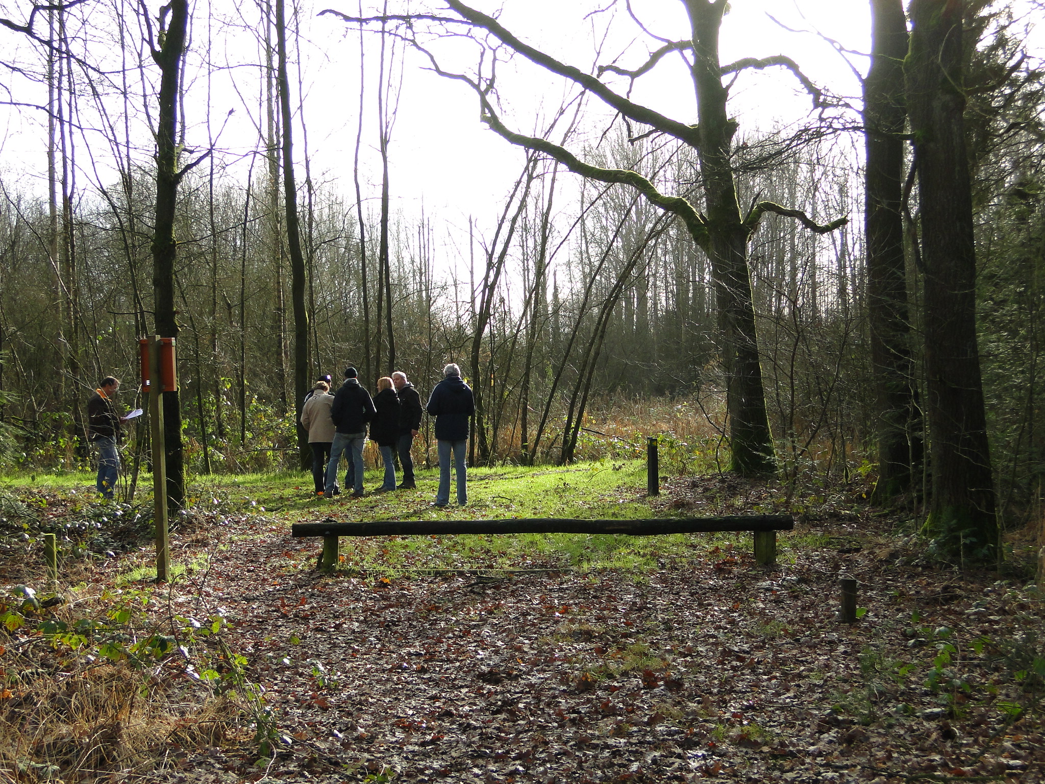 NWK 2012 020.jpg